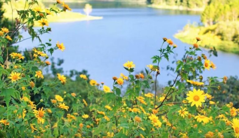 Dalat Vietnam : Le paradis secret des amoureux de la nature