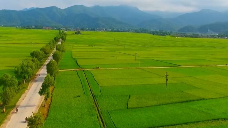 Dien Bien Phu : La bataille qui a changé le cours de l&rsquo;histoire du Vietnam