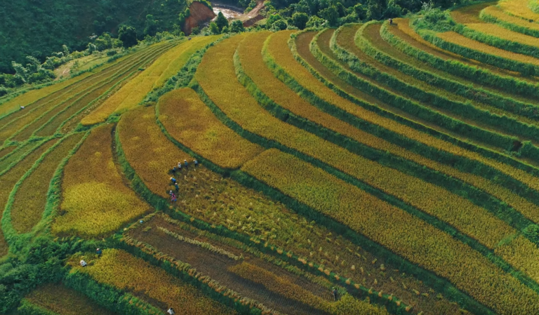 Découvrez les trésors cachés de Sapa : un voyage inoubliable au cœur des montagnes vietnamiennes