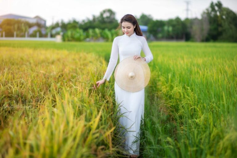 Les 4 plus belles régions du Vietnam pour un séjour en solo d&rsquo;aventure et d&rsquo;authenticité